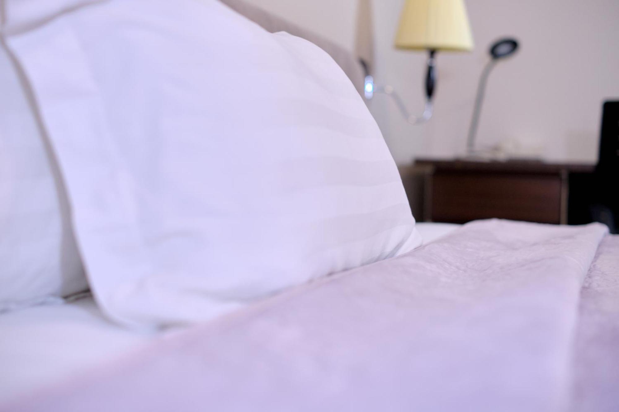 Gess Hotel 帕拉马里博 外观 照片