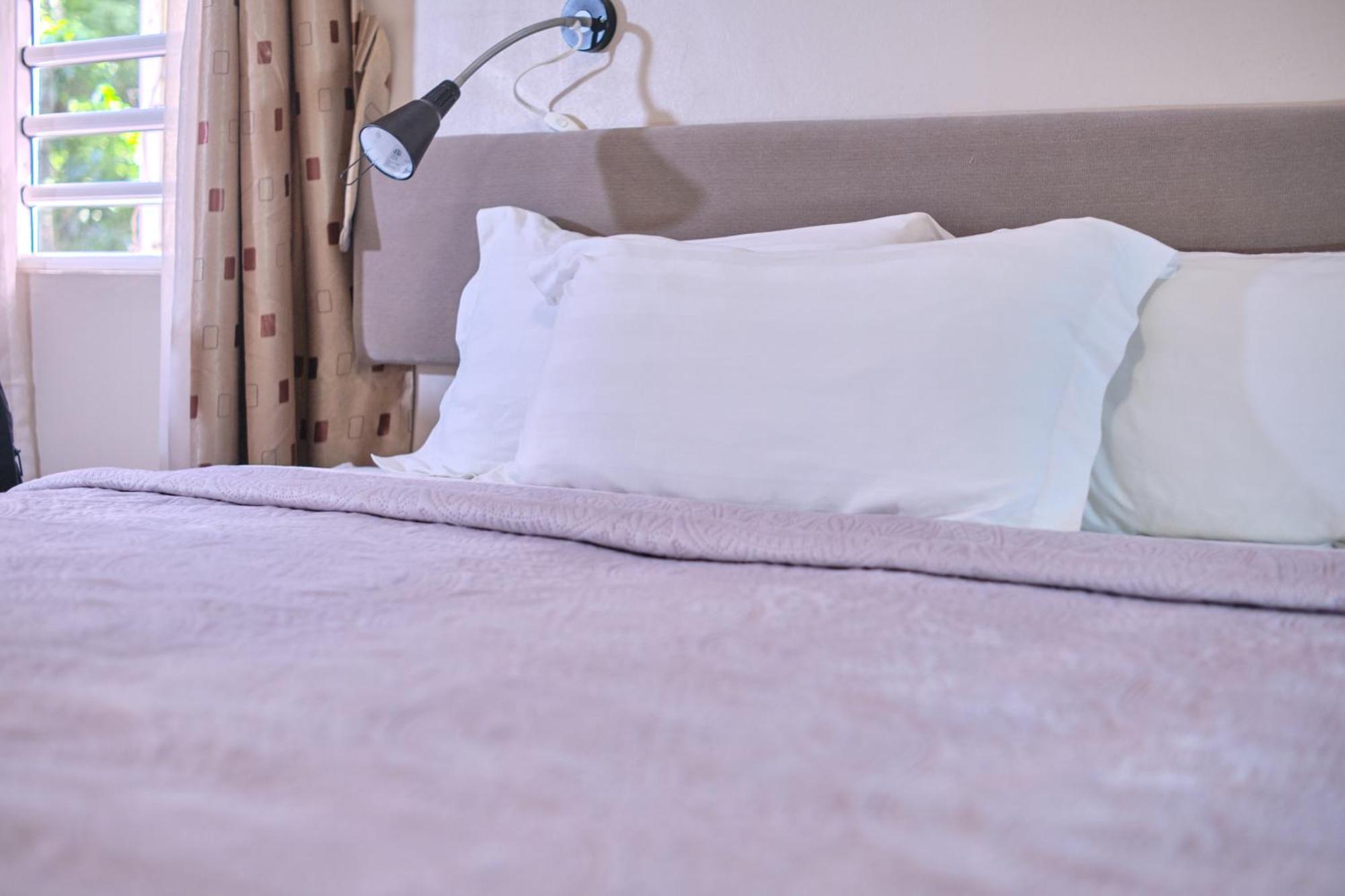 Gess Hotel 帕拉马里博 外观 照片