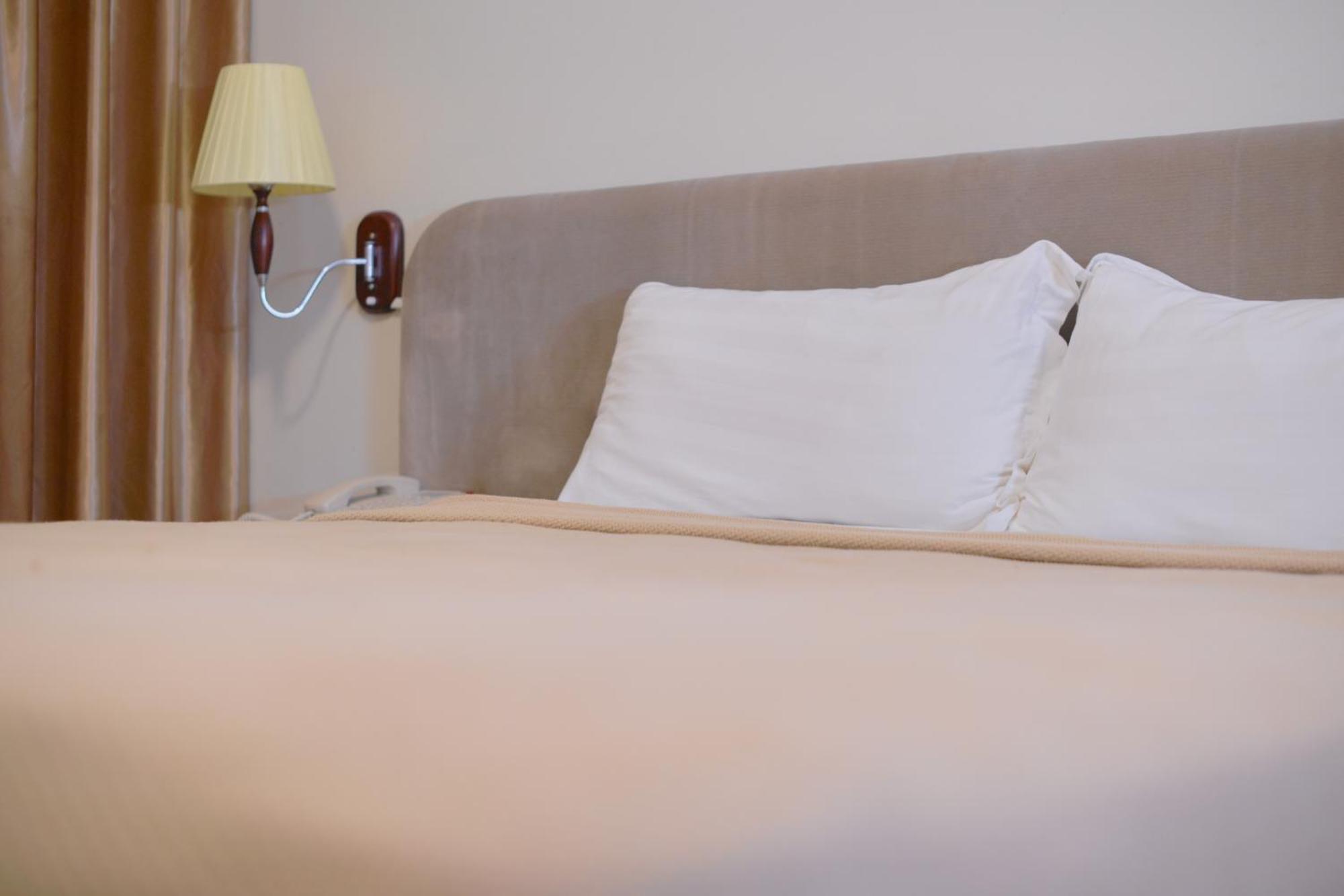 Gess Hotel 帕拉马里博 外观 照片